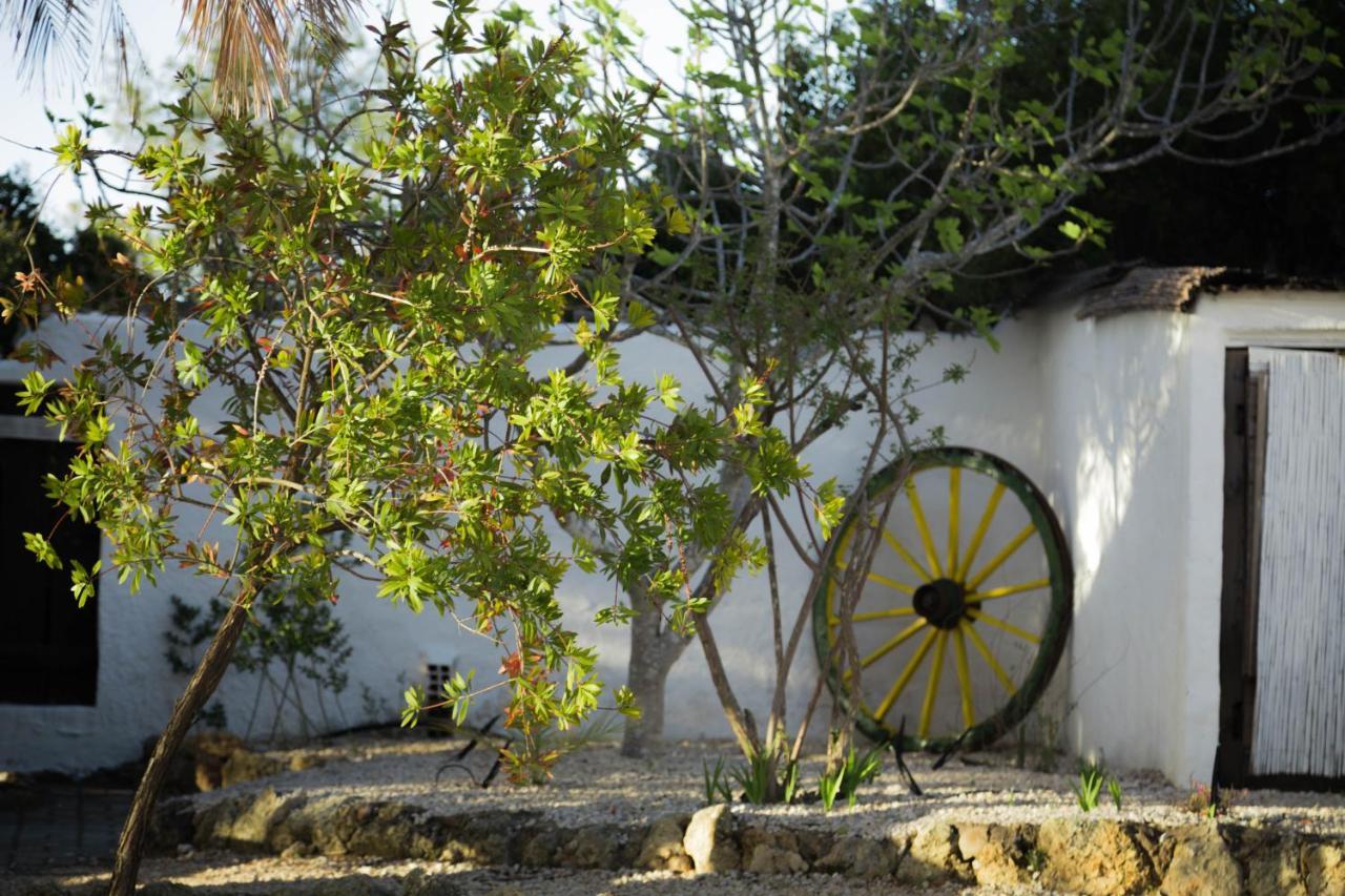 Vila Horizonte Carvoeiro (Lagoa) Exterior foto